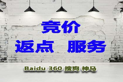 揭秘成功之道：竞价推广公司经典案例分享